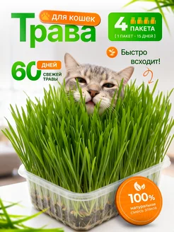 Трава для кошек и других питомцев. 60 дней свежего урожая.